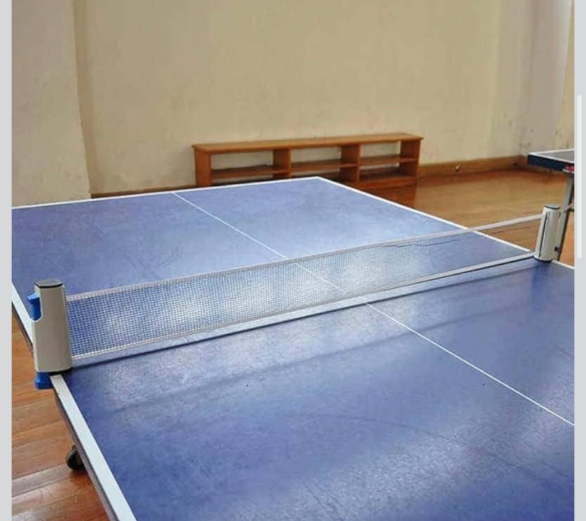 portable table tennis net